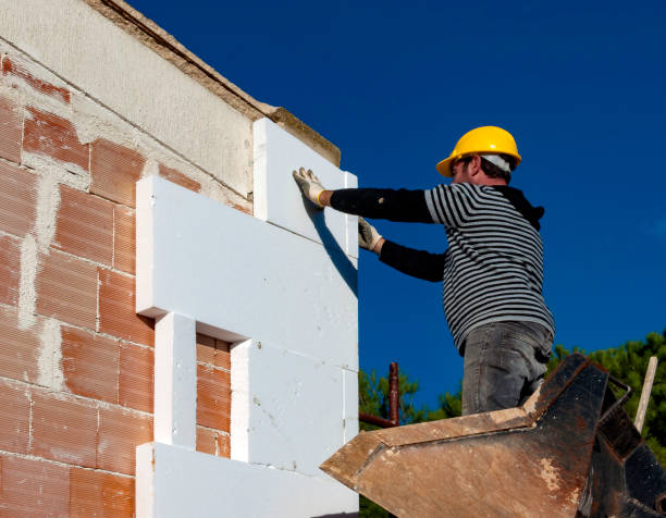 Best Specialized Insulation Services in Carthage, MO