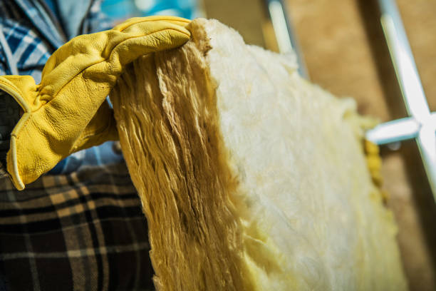 Best Geographic-Specific Insulation Services in Carthage, MO