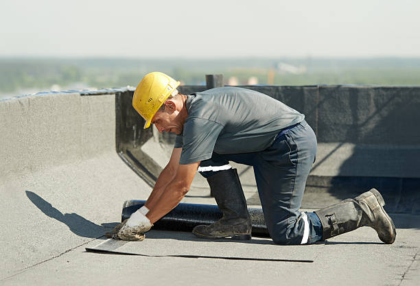 Best DIY Insulation Kits and Guidance in Carthage, MO