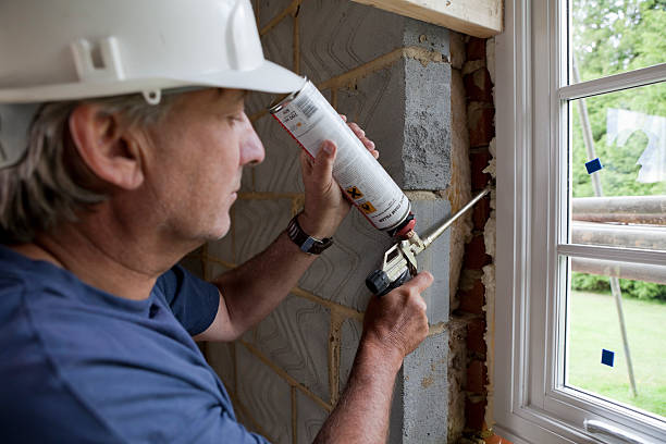 Best Eco-Friendly Insulation in Carthage, MO